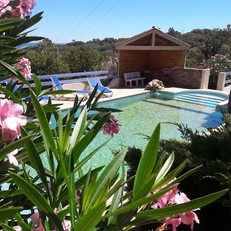 Jade Vue Mer Incroyable, Piscine Location Entier 2 Pers Proche Plage * Olmucciu